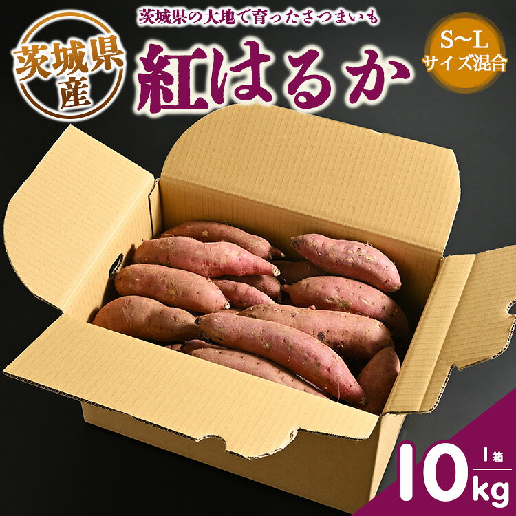 【ふるさと納税】生芋　10kg　S～Lサイズ混合　1箱 いも長 ｜ さつまいも いも 生いも 紅はるか 国産 ※2026年12月下旬～順次発送