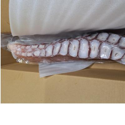 ふるさと納税 稚内市 北海道稚内産 お刺身ボイルたこ足1本 約1.3kg〜1.6kg |  | 01