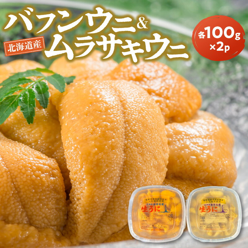【ふるさと納税】【2027年夏発送】 塩水ウニ 【 バフンウニ ＆ ムラサキウニ 】 各 100g × 2パック 北海道余市町産 冷蔵 生うに うに 海産物 魚介類 北海道産 余市産 とろける 濃厚 磯の風味 甘味 強い 香り 余韻 後味 爽やか 送料無料