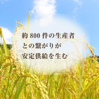 ふるさと納税 大網白里市 千葉県産『房乃誉』精米 10kg(5kg×2袋) |  | 03