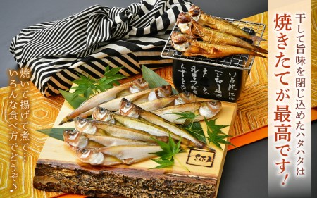 越前産 干しはたはた（3～4尾）× 3パック 越前塩のみで仕上げた一塩干し！【干物 海鮮 冷凍 個包装 】 [e04-a108]