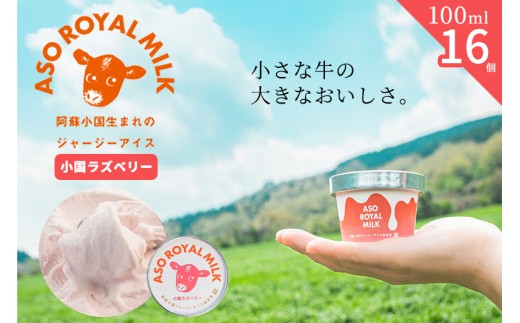 【ASO ROYAL MILK】阿蘇小国ジャージーアイス 小国ラズベリー 100ml 16個 1600ml 国産 熊本県産 小国ジャージー牛乳 ジャージーミルク ゴールデンミルク 国産ラズベリー 熊本県産ラズベリー 牧場しぼり お取り寄せ ご褒美 贈答 ギフト 記念日 ご自宅用 チルド 冷凍配送