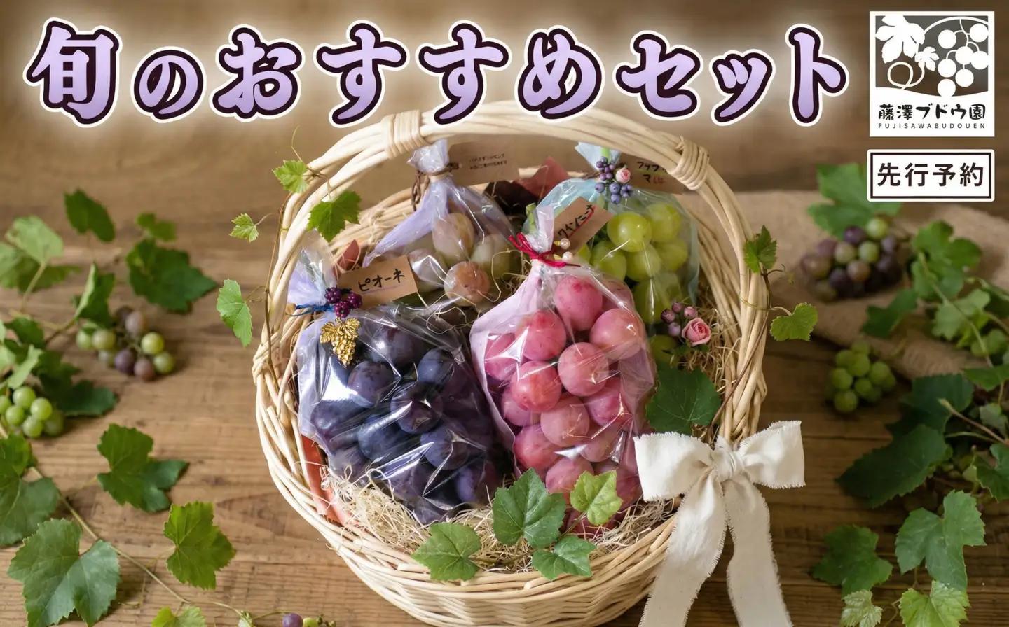ブドウ 約2.5kg 詰合せ 巨峰 シャインマスカット 【先行予約】 | 藤澤ブドウ園