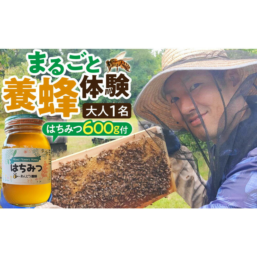 【ふるさと納税】1282.【要予約 大人1名様用】あんどう養蜂 まるごと養蜂体験（約3時間）はちみつ600g付き