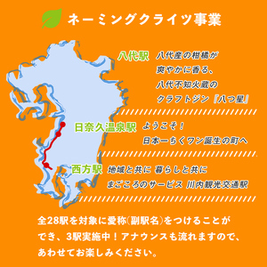 i1134 【肥薩おれんじ鉄道沿線自治体共通返礼品】おれんじカフェ (列車貸し切り) チケット (1両) 鹿児島県 出水市 肥薩おれんじ鉄道 おれんじカフェ 鉄道 列車 電車 貸し切り 貸切 イベント
