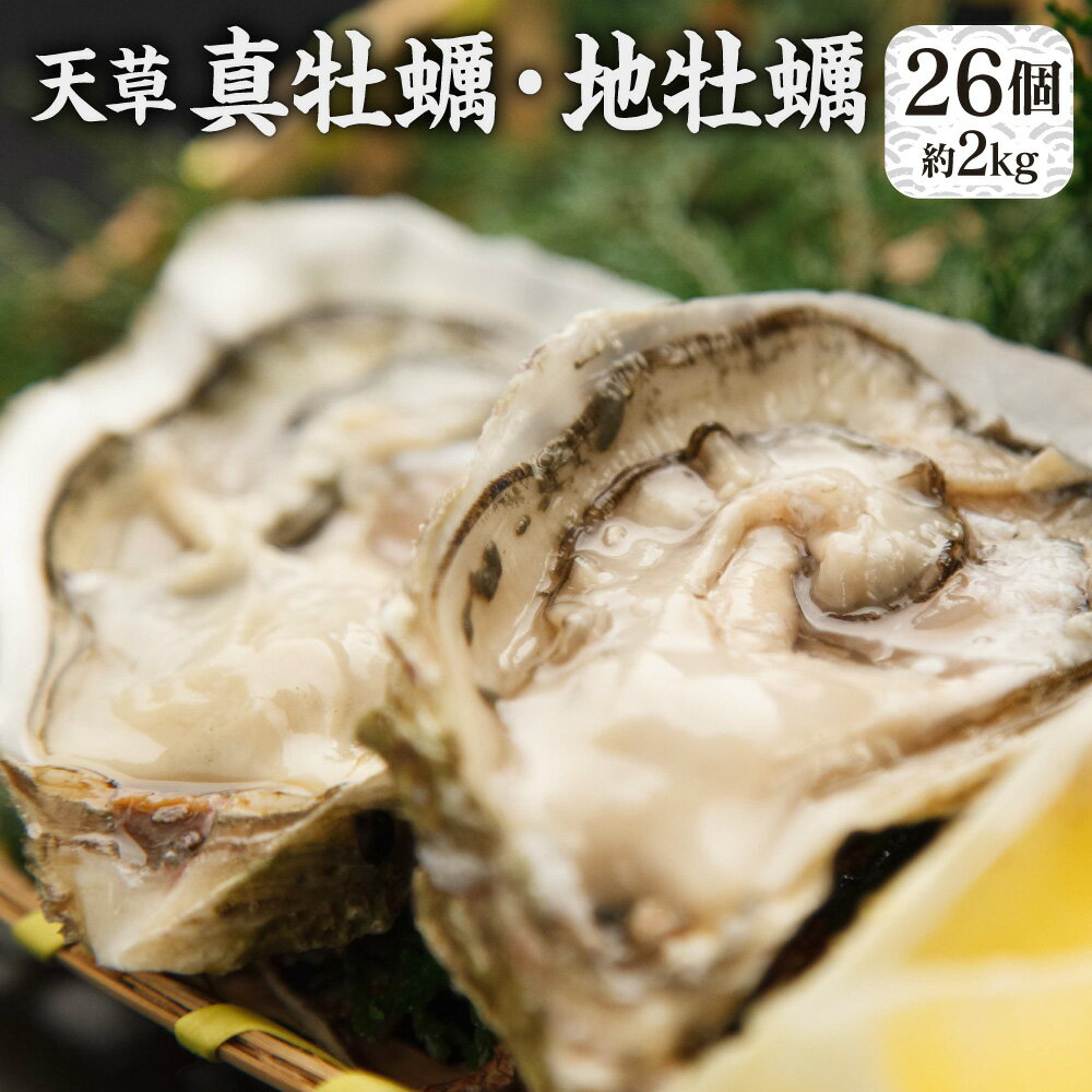 【ふるさと納税】 活き 天草 真牡蠣 10個（加熱用） と 地牡蠣 16個 （加熱用）セット 牡蠣 カキ かき 魚貝類 魚介類 貝類 国産 熊本産 不知火海産 食べ比べ 春 送料無料