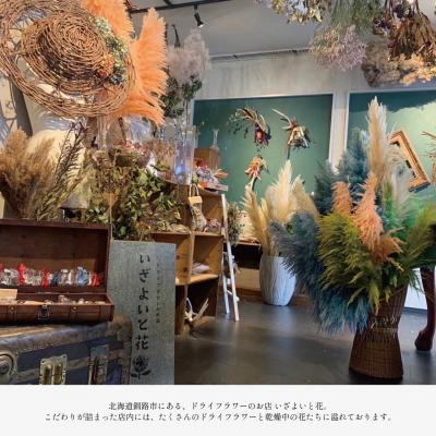ふるさと納税 釧路市 【ギフトラッピング付】ドライフラワーブーケ(黄色ベース)インテリア 雑貨 記念日 F4F-2507 |  | 03