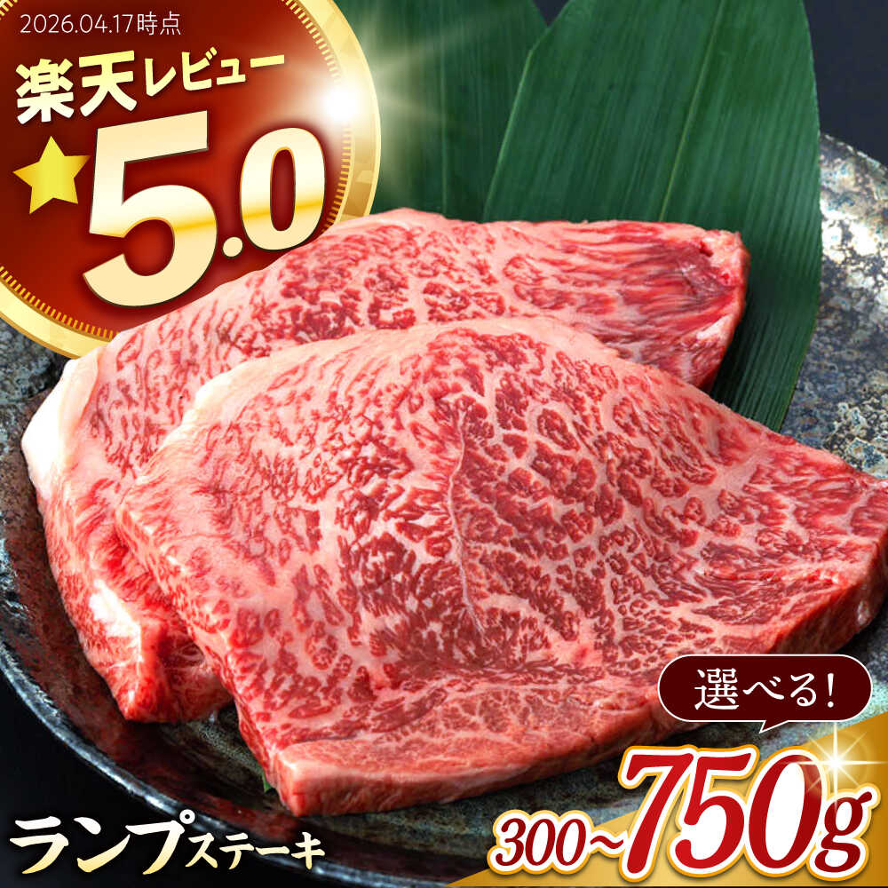【ふるさと納税】＜選べる枚数＞長崎和牛 A5 ランプステーキ 300g〜750g 150g×2枚 3枚 4枚 5枚 / 楽天限定 ランプ 赤身 ステーキ A5ランク 希少部位 すてーき steak 高評価★5 ステーキ 2枚 3枚 4枚 5枚 らんぷ / 諫早市 / 野中精肉店 [AHCW002]