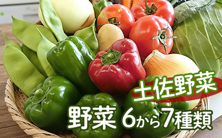 【 安芸野菜 】 野菜 6～7種類 詰め合わせ 安芸野菜