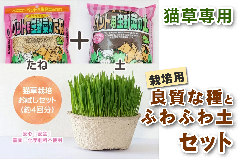 [猫草専用] 栽培用 良質な種とふわふわ土のセット｜猫草 種 土 セット 猫草 栽培セット 猫草の種 猫草専用土 セット 猫草 初心者セット [1206]