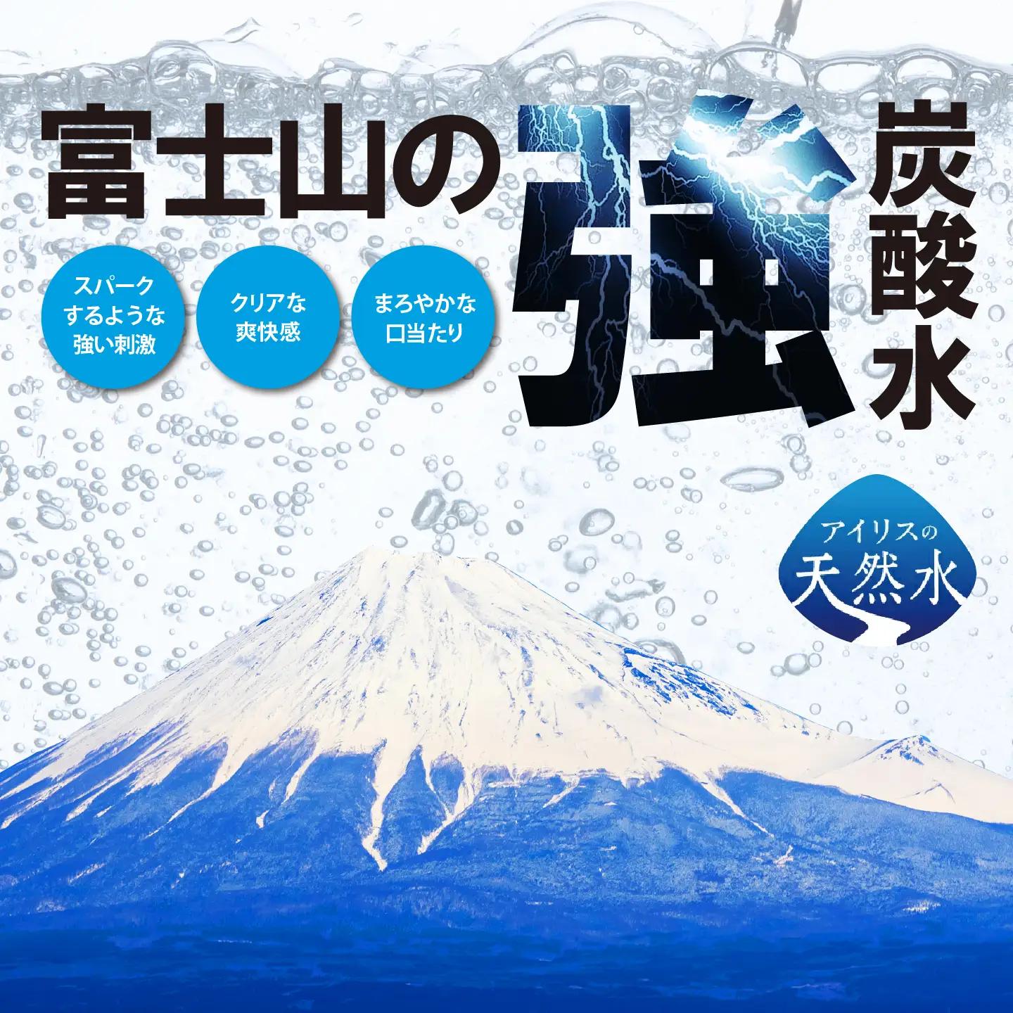 強炭酸水 レモン 12ヶ月定期便 500ml×1箱 24本入 炭酸