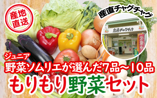 滝沢もりもり 野菜セット 7品 ～ 10品 【滝沢産業開発】 野菜 やさい セット 詰め合わせ 詰め合せ 詰合せ 詰合わせ 果物 加工品 新鮮 美味しい 産直 チャグチャグ 旬 季節の野菜 地場産品 ジュニア野菜ソムリエ 人気 オススメ おすすめ