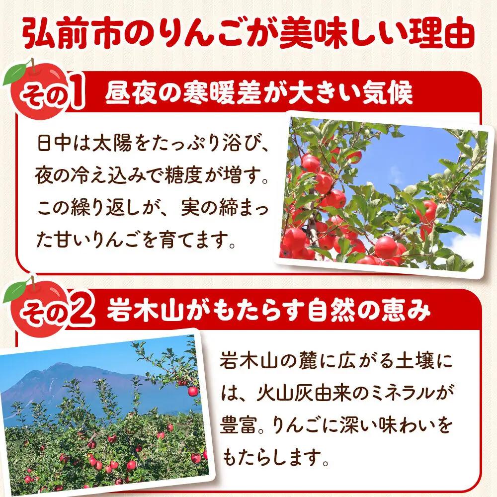 【26年10月発送】りんご とき【家庭用】約5kg 小玉 先行受付 青森県 弘前市 果物 フルーツ 林檎 リンゴ くだもの 不揃い 規格外