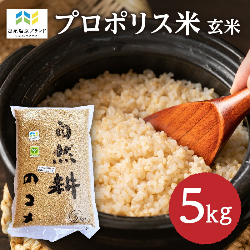 【ふるさと納税】【那須塩原ブランド認定品】 プロポリス米 1等級 コシヒカリ 玄米 5キロ 米 栃木県 那須塩原市 天然の抗菌物質 商標登録済 特産 粒が大きい 真空パック ごはん 送料無料