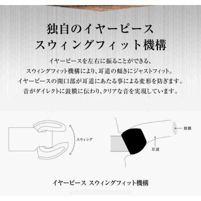 ふるさと納税 川崎市 マイク付きハイレゾイヤホン final E3000C |  | 03