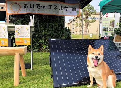 おいでんのでんき1,200kWh相当（32,400円分　毎月2,700円分×12ヶ月）【定期便：全12回】