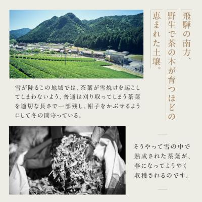 ふるさと納税 下呂市 金飛騨茶 57577 緑茶(50g×1箱)ほうじ茶(40g×1箱)飛騨金山産【94-3】 |  | 02