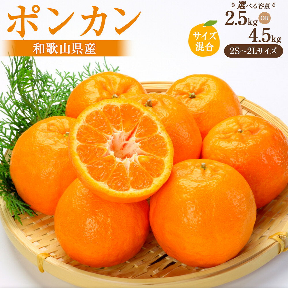 【ふるさと納税】［選べる容量］ポンカン 約2.5kg or 約4.5kg サイズ混合［2027年1月下旬頃より順次発送予定］ | ポンカン フルーツ 果物 くだもの 食品 人気 おすすめ 送料無料 産地直送