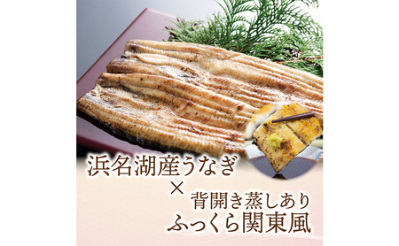 【3か月定期便】浜名湖産 うなぎ白焼　約140g×2尾入り　計3回 うなぎ ウナギ 鰻 ブランドうなぎ 白焼 浜名湖 とろける ふっくら 香ばしい 旨味 肉厚 静岡 浜松市