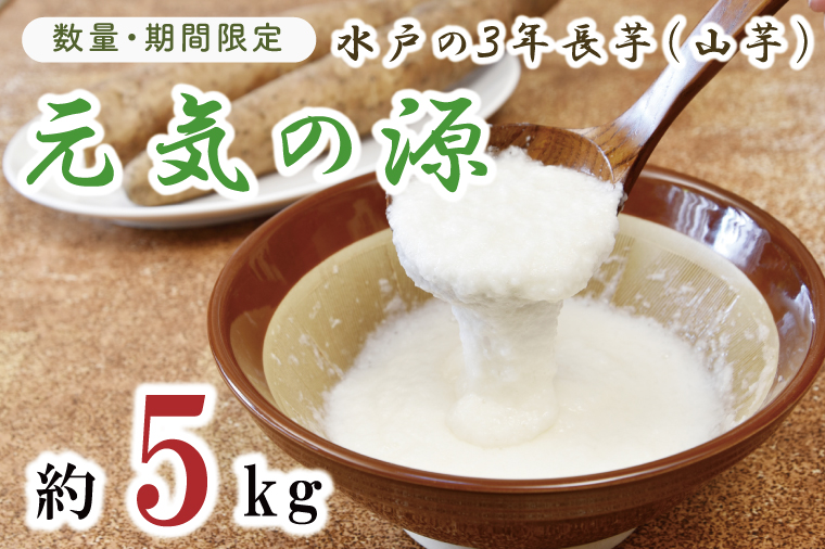 【2026年11月下旬～2027年１月下旬配送】【数量限定】水戸の３年長芋（元気の源）【ながいも 山芋 やまいも 野菜 やさい ムカゴ とろろ 茨城県 水戸市】（HD-1）