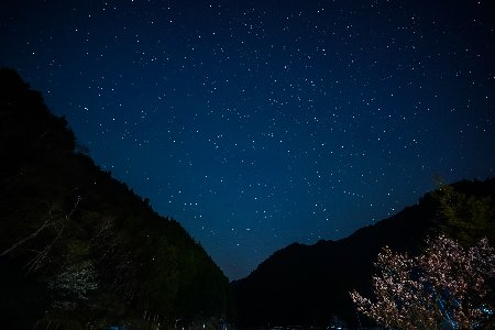 【電子クーポン券】まるかりの里キャンプ場 宿泊利用（3,000円分）【75-4】