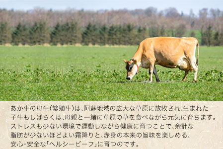 肥後のあか牛 すき焼き用 1000g 長洲501 熊本 特産 あか牛《30日以内に出荷予定(土日祝除く)》