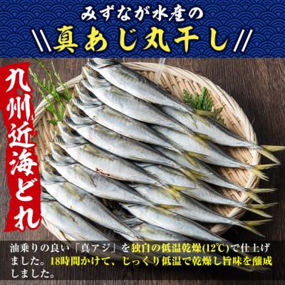 ふるさと納税 門川町 国産真あじ丸干し48尾セット(16尾×3箱・計2.5kg以上) |  | 01