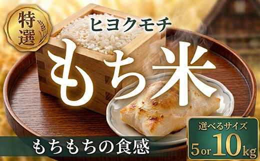
                  令和8年産 もち米 5kg 10kg 新米 こめ おこめ 精米 お米 コメ ごはん 米 おコメ 餅 もち米 餅米 もちごめ ヒヨクモチ 炊飯 ご飯 もちもち食感 おもち 赤飯 おこわ ちまき お汁粉 お雑煮 雑煮 弁当 おにぎり お正月 ギフト 贈答 プレゼント グルメ 2026年 R8年 令和8年 送料無料 新嘗祭 皇室献上米 農家 高知県 安芸市
                