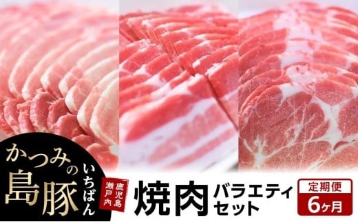 
【定期便6か月】かつみの島豚いちばん焼肉バラエティセット 750g（250g×3パック）
