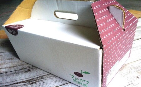 2026年お届け イエローレモン（露地栽培）約2.5kg 果物類 柑橘類 柑橘 檸檬 