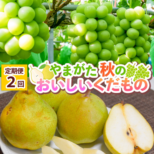 【定期便2回】 やまがた 秋のおいしいくだもの FY25-015