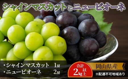 ぶどう 【2026年 先行予約】 シャインマスカット 1房 ニュー ピオーネ 2房 合計2kg以上 岡山県産 シャインマスカット