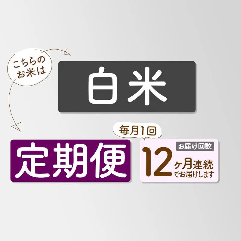 《新米先行受付》《定期便12ヶ月》【白米】あきたこまち 20kg 秋田県産 令和8年産 こまちライン