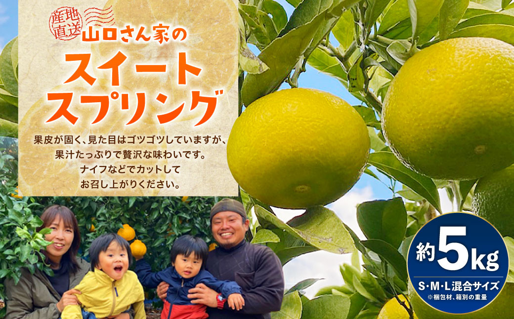 
山口さん家のスイートスプリング 約5kg 【12月下旬から2025年1月上旬発送予定】柑橘 果物 フルーツ
