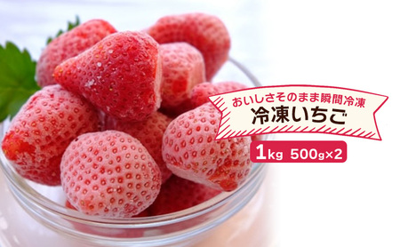 いちご 冷凍いちご 福田ファーム いちご【500g×2】【冷凍】