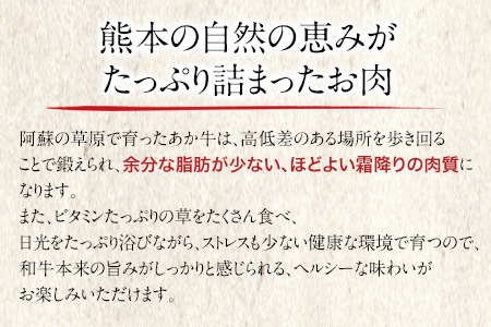 肥後のあか牛 焼肉用  1000g アントレ 牛肉 あか牛 赤牛 あかうし《30日以内に出荷予定(土日祝除く)》