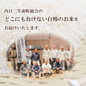 【令和7年産】【定期便】 Wブレンド米 10kg 隔月3回 (合計30kg) 山口県産 《内日三町：DZ8016》