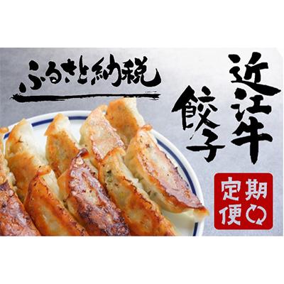 ふるさと納税 竜王町 【毎月定期便】【近江牛餃子の会】定期便 全3回