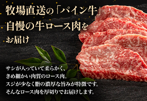 宮崎県産 黒毛和牛 パイン牛 ロース 焼肉 500g