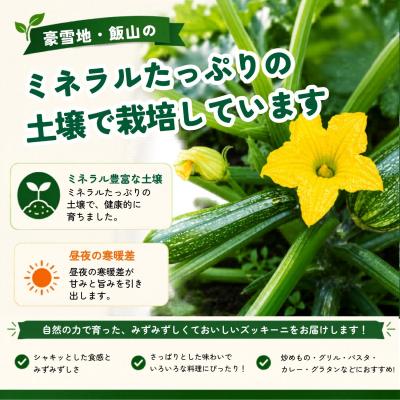 ふるさと納税 飯山市 朝採り!! 新鮮ズッキーニ 約6〜8本 《生産者直送》岸田農園 |  | 01