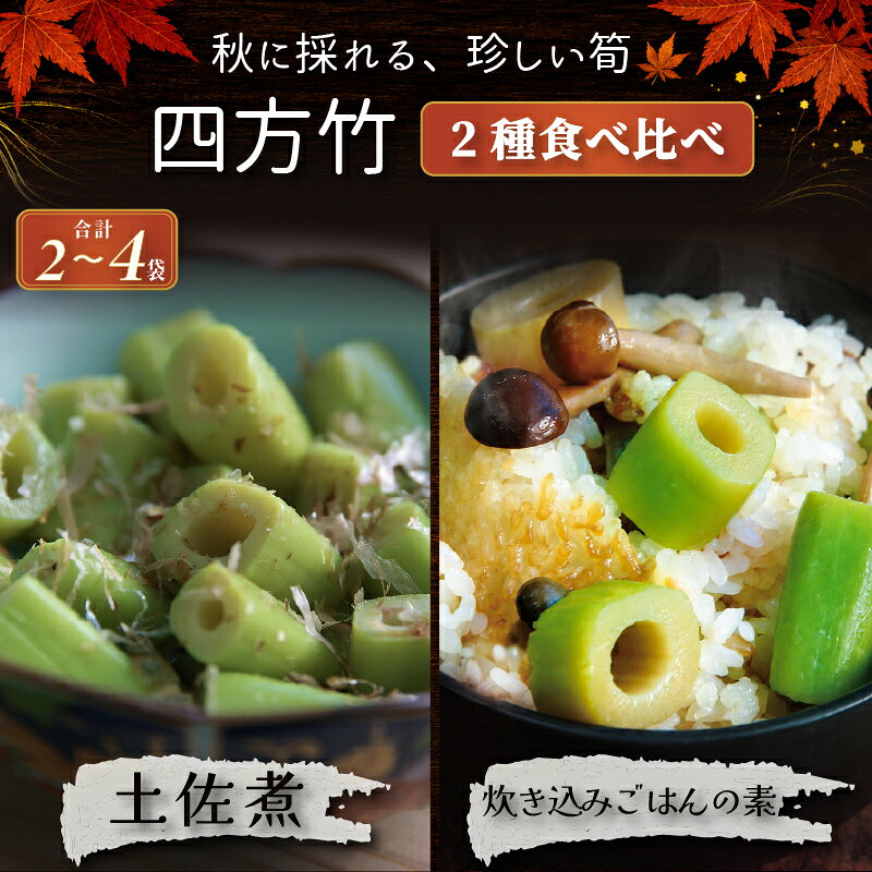 【ふるさと納税】 【期間限定】 国産 四方竹 2種食べ比べ 土佐煮 炊き込みごはんの素 2 ～ 4袋 (2026年11月～発送) | 筍 たけのこ 竹の子 タケノコ 先行予約 珍味 希少 煮物 炊き込みご飯 鰹だし 醤油 簡単調理 常温 高知 南国市