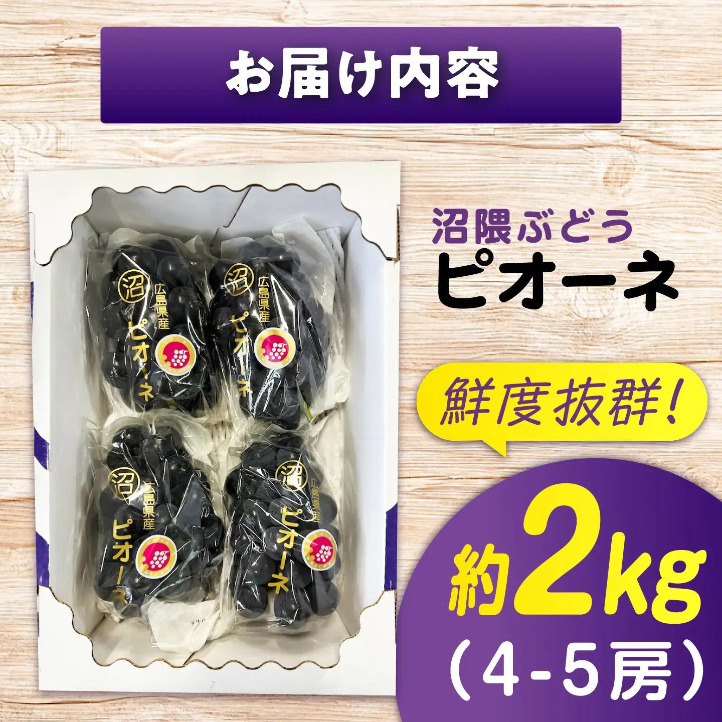 【期間限定/8月下旬から9月上旬頃発送】沼隈ぶどう「ピオーネ」 約2kg [BAEV002]ピオーネ