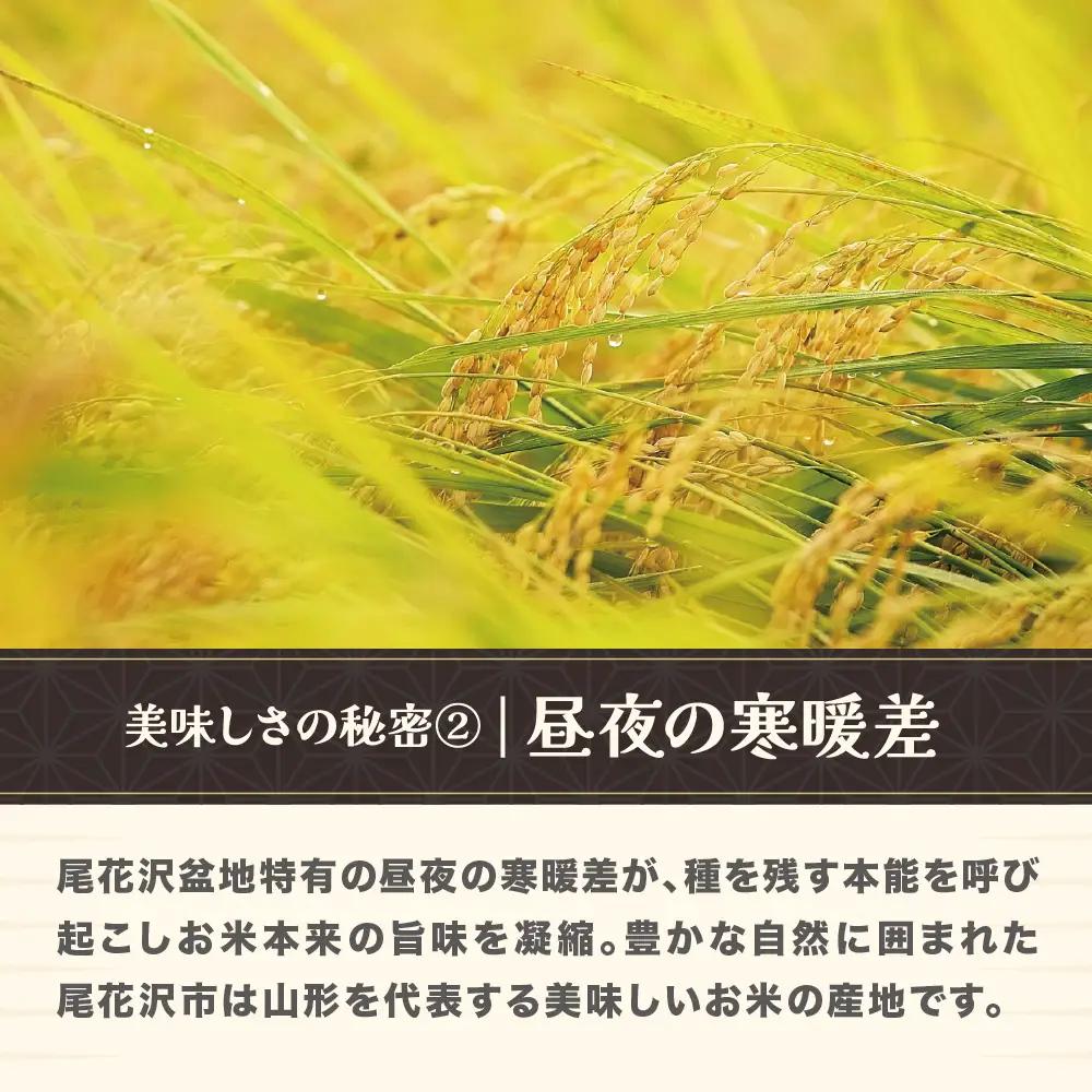 新米 令和8年産 玄米 雪若丸 10kg ja-ywgxb10