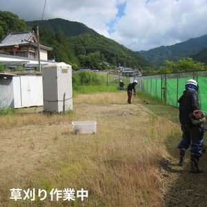 利用券 シルバー人材センター 30,000円分 [BRBJ009]