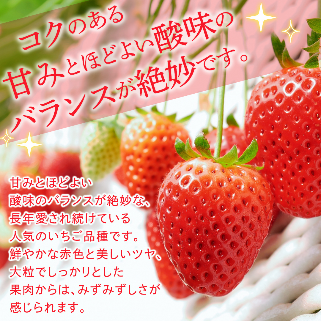 【定期便】とちおとめ 約250g（15～18粒）×2パック 3ヶ月連続お届け便【2026年12月から発送開始】（茨城県共通返礼品 [いちご]：城里町産） 茨城県 県産 人気 厳選 果物 くだもの 旬 