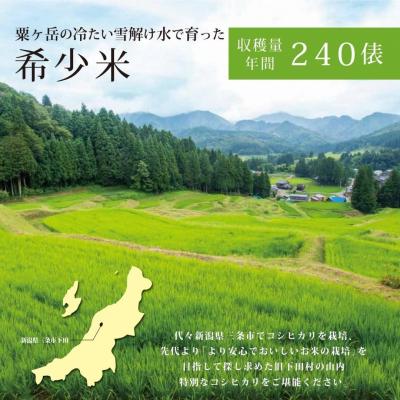 ふるさと納税 三条市 先行受付 [定期便] 天水田で育った コシヒカリ 5kg ×3か月 新潟県産 【035S015】 |  | 01