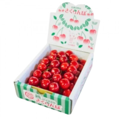 
            ＜2026年発送＞産地直送　信州中野産　さくらんぼ　高砂　ハート箱　約300g【1570392】
          