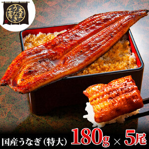 【期間限定9月30日までの特別価格！】うなぎ蒲焼 180g×5尾(900g) うなぎ ウナギ 鰻 蒲焼 蒲焼き冷凍 国産 大五 大五通商 静岡 島田市
