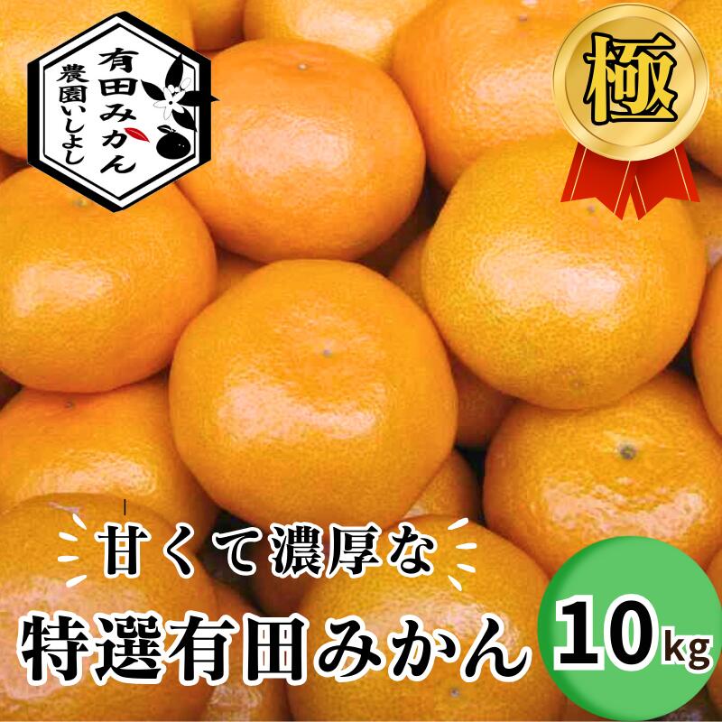 【ふるさと納税】 有田みかん 特選 極 10kg 【 創業120年 農家直送 】 ※11月より順次発送予定 / みかん 温州みかん 高級 贈答 ギフト お歳暮 柑橘 くだもの 果物 果実 フルーツ 和歌山 紀州 有田 //mandarin