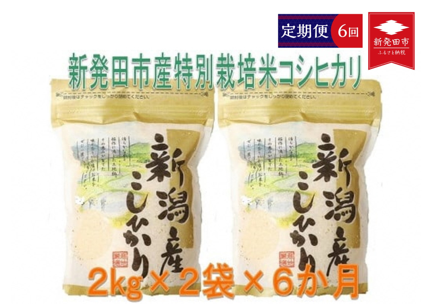 
            【定期便】令和6年産 新潟県産 特別栽培米コシヒカリ 2kg×2袋×6ヵ月 【 新潟県 新潟産 新発田産 米 コシヒカリ 特別栽培米 しばもん 2kg 6ヵ月 定期便 D29_01 】
          